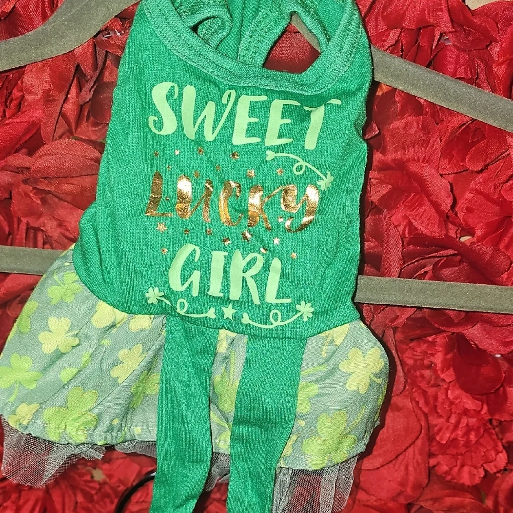 Festive Green Dog Dress with Shamrock Pattern Size Xsmall
